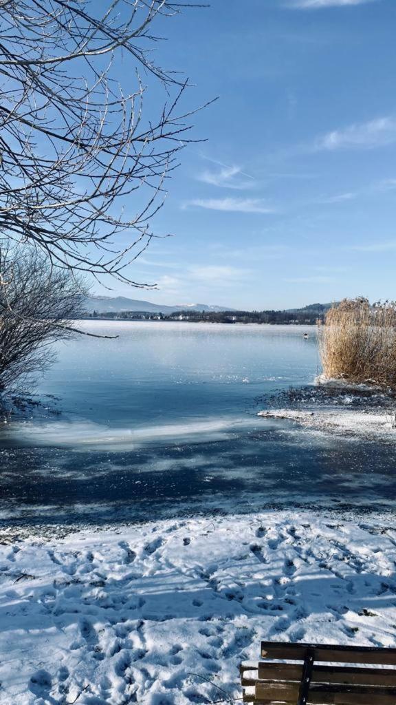 Apartman Lipenka Černá v Pošumaví Exteriér fotografie